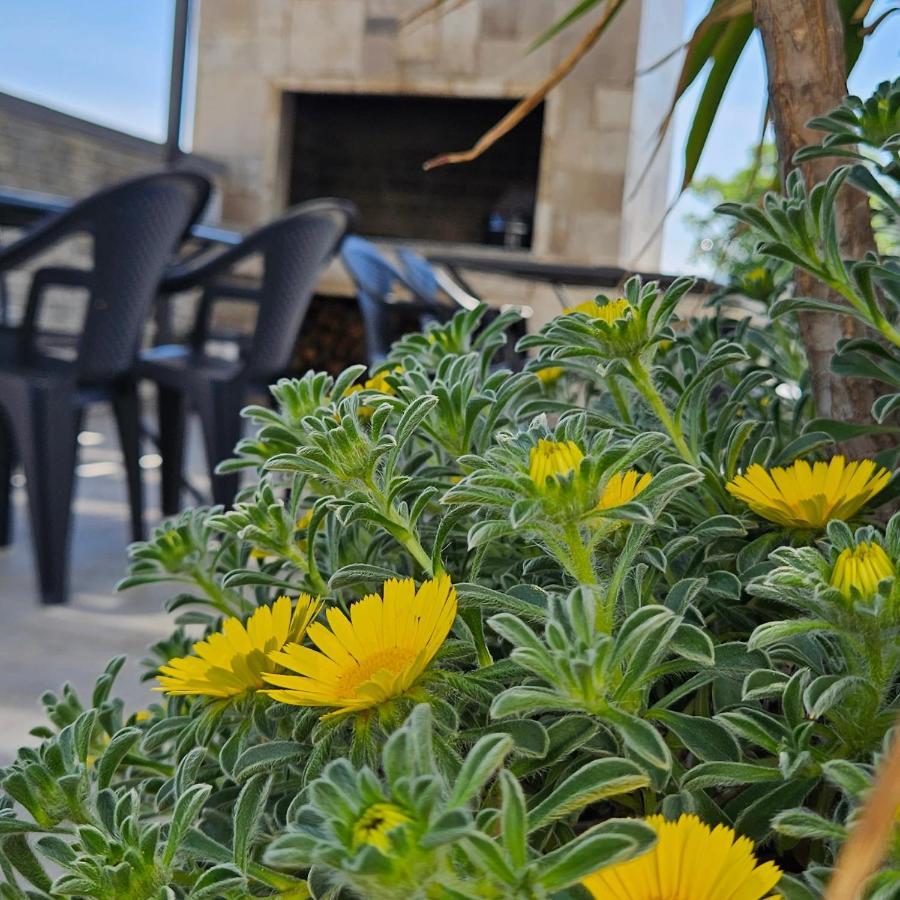 Villa Silver Starigrad Paklenica Ngoại thất bức ảnh