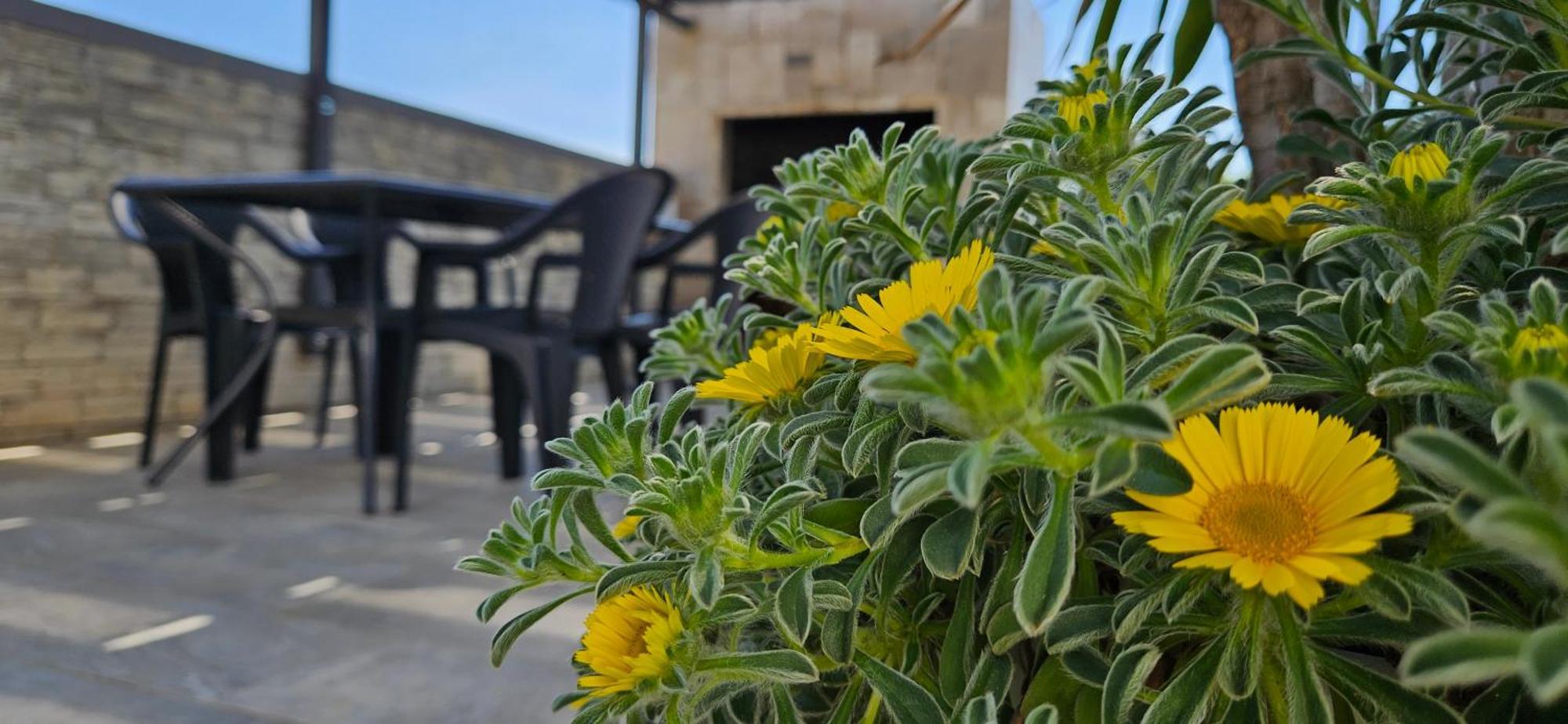 Villa Silver Starigrad Paklenica Phòng bức ảnh
